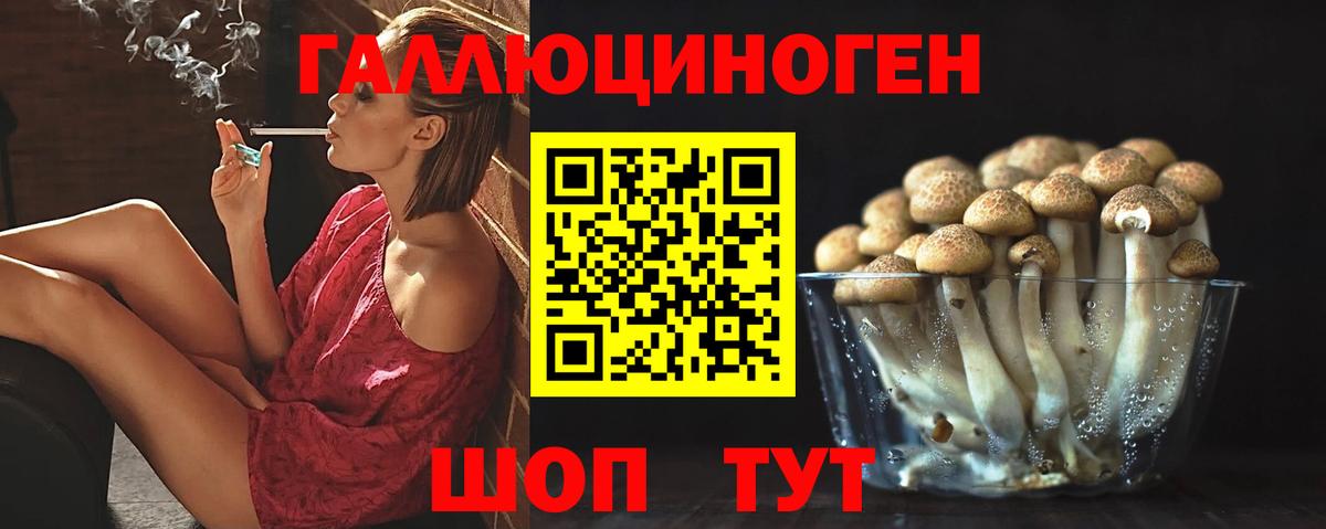 Ногинск  Псилоцибиновые грибы мухоморы  Псилоцибиновые грибы Psilocybine cubensis  Вход с VPN 